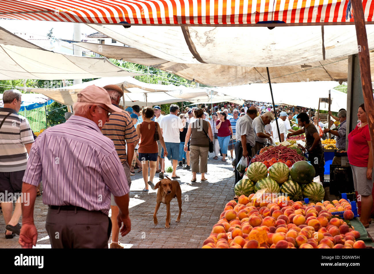 Mercato di Datça, Datca, Datca Peninsula, Provincia di Mugla, Turchia egea, Turchia Foto Stock