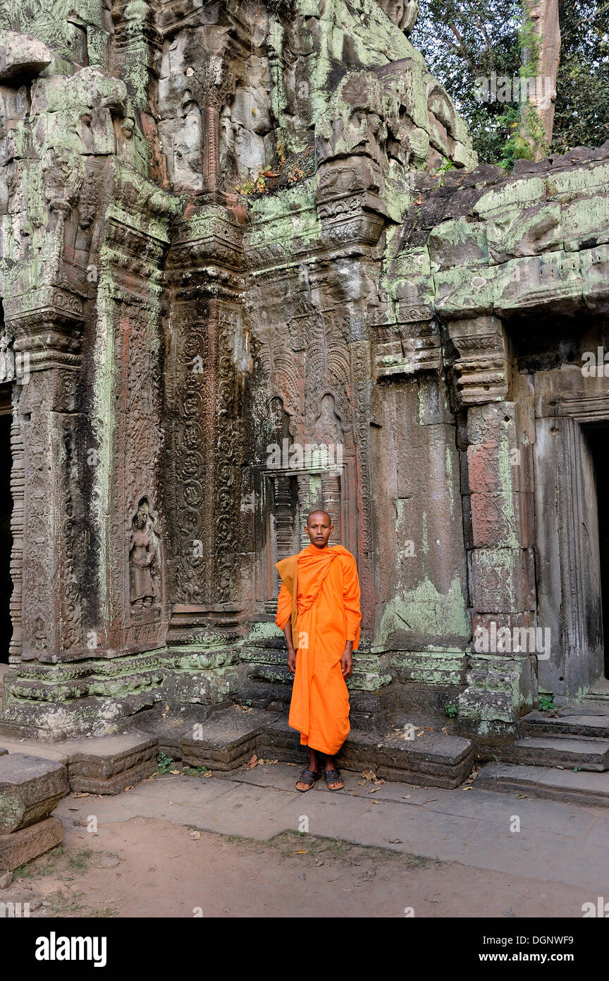 Monaco buddista in Ta Prohm tempio, Cambogia, Asia sud-orientale, Asia Foto Stock