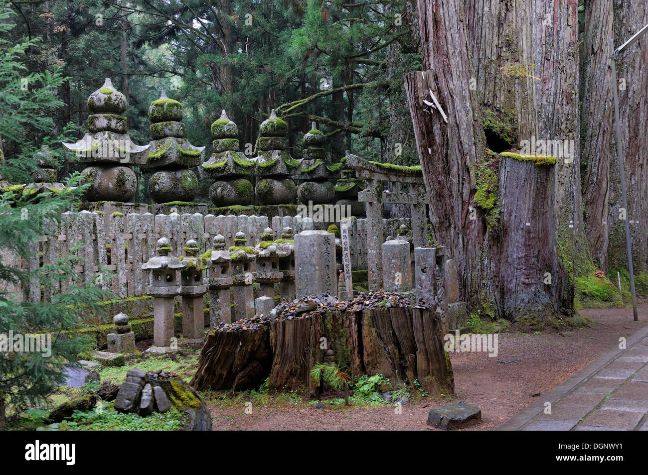 Tomba di pietre, Okuno-in, il più famoso cimitero in Giappone, Sito Patrimonio Mondiale dell'UNESCO, Koya-san, Wakayama, vicino ad Osaka, Giappone Foto Stock