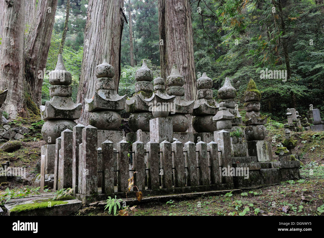 Graves sul cimitero di Koya-san, Sito Patrimonio Mondiale dell'UNESCO, Wakayama, vicino ad Osaka, Giappone, Asia orientale Foto Stock