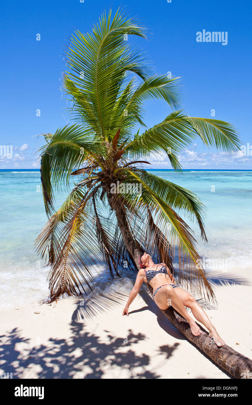 Giovane donna sdraiata su un albero di cocco sulla spiaggia di Anse La Passe, Silhouette Island, Seychelles, Africa, Oceano Indiano Foto Stock