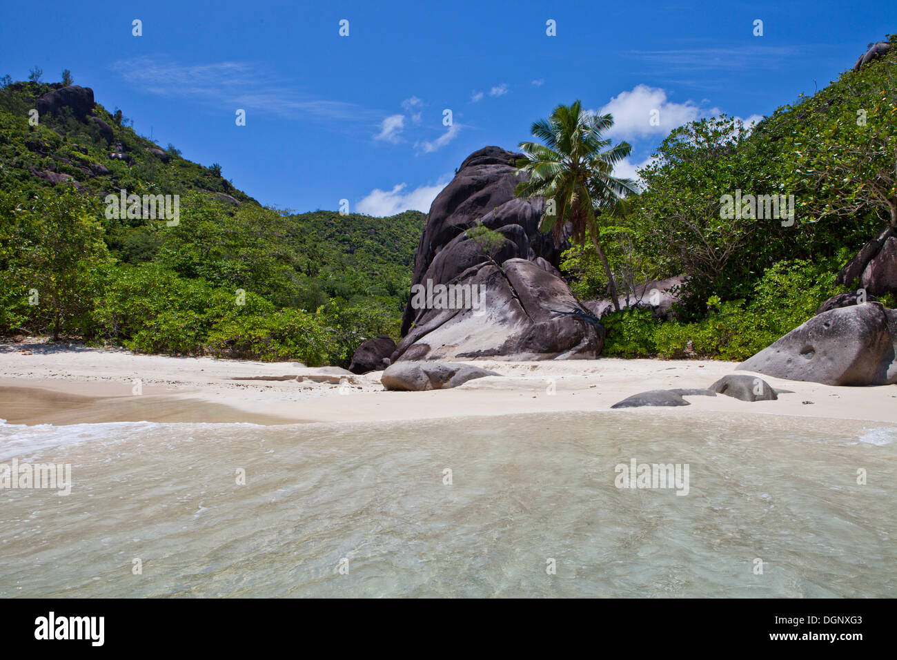 Anse du Riz beach, Baie Ternay il Parco Marino Nazionale, Isola di Mahe, Seychelles, Africa, Oceano Indiano Foto Stock