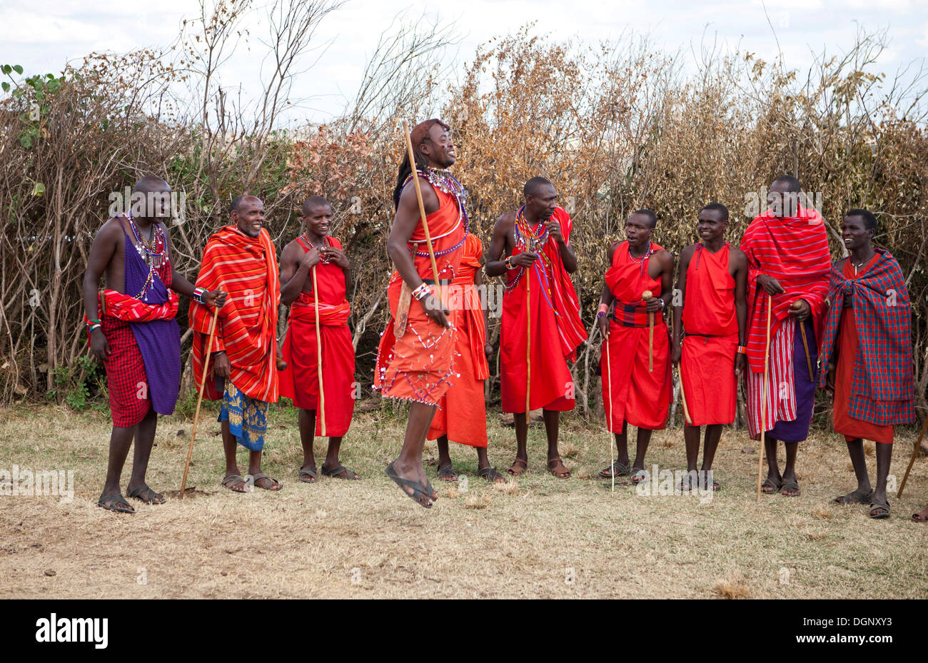 Performance di danza di Guerrieri Maasai indossando vestiti tradizionali, Massai Mara, Distrikt Narok, Serengeti, Rift Valley provincia Foto Stock