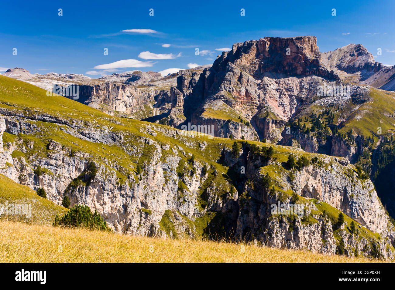 Sul Monte Alpe Stevia, Groedental o Val Gardena, Dolomiti, Alto Adige, Italia, Europa Foto Stock