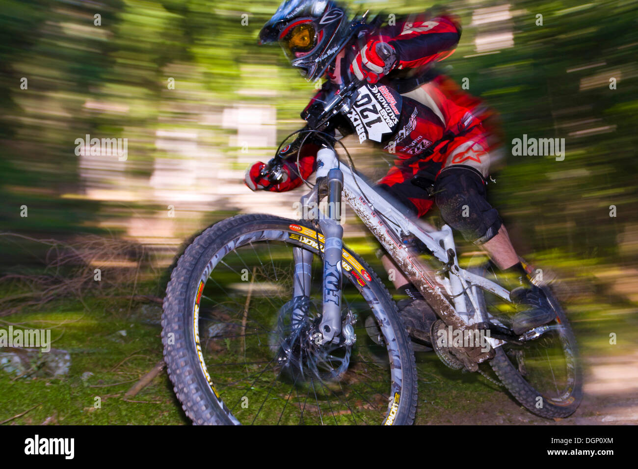 Discesa con la mountain bike race da Mt Plose, Alto Adige, Italia, Europa Foto Stock