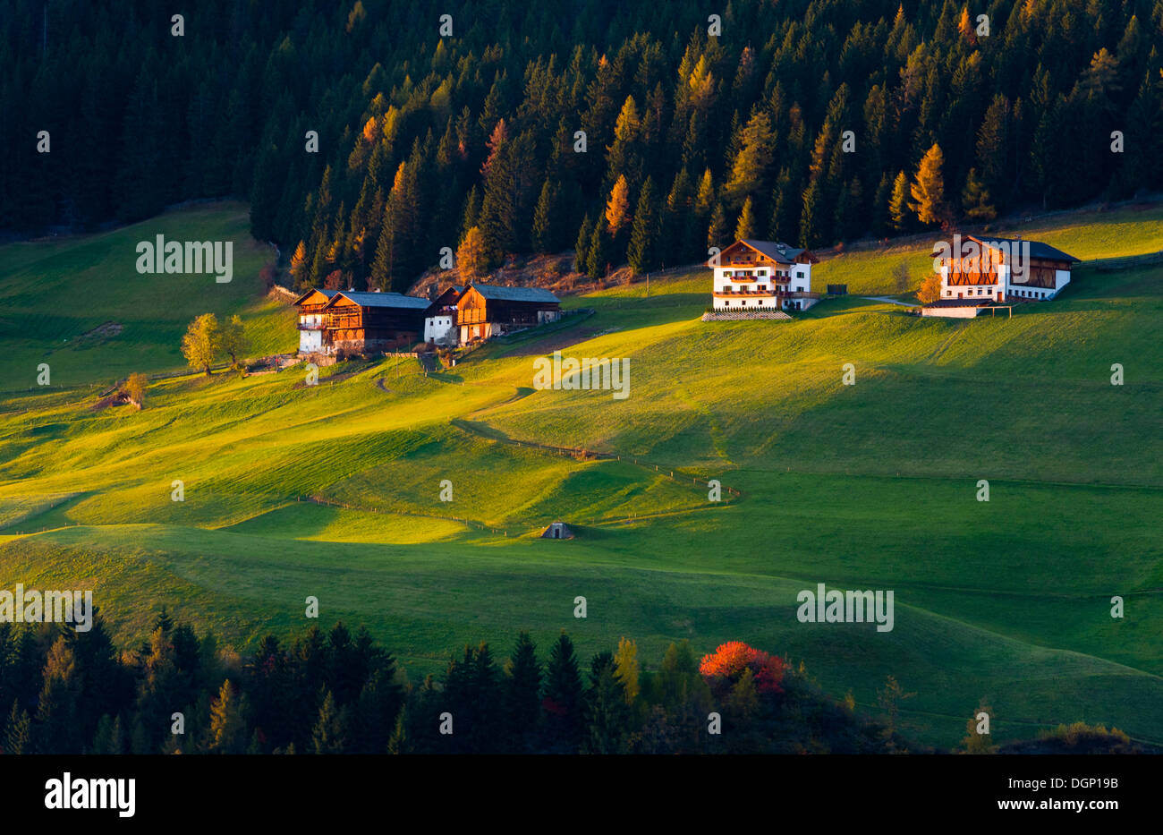 Masi di montagna nella valle Villnoesstal in autunno, in provincia di Bolzano, Italia, Europa Foto Stock