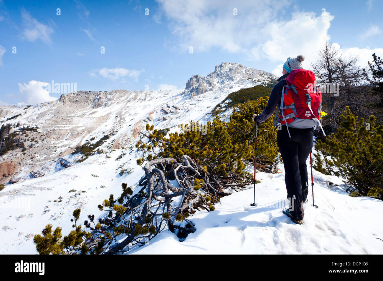 Gli escursionisti durante la salita al Monte Corno da Redagno via Zirmsteig arrampicata, al di sopra della gola Bletterbach Foto Stock