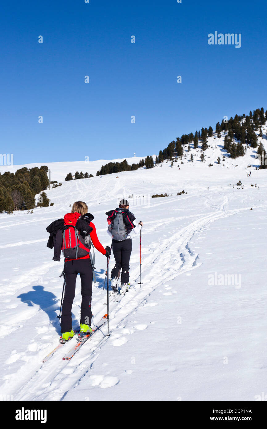 I fondisti durante la salita al Monte Corno del Renon, Alto Adige, Italia, Europa Foto Stock