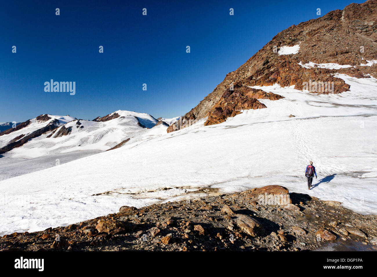 L'alpinista sul vertice ridge durante la salita al Monte Zufallspitz, guardando verso Monte Vioz, Alto Adige, Italia Foto Stock