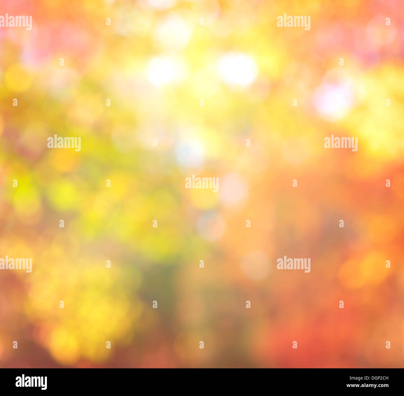 Abstract blur sullo sfondo Autunno colori alla moda con naturale Bokeh con luci di Sun Foto Stock