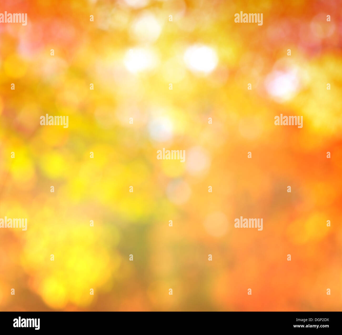 Abstract blur sullo sfondo Autunno colori alla moda con naturale Bokeh con luci di Sun Foto Stock