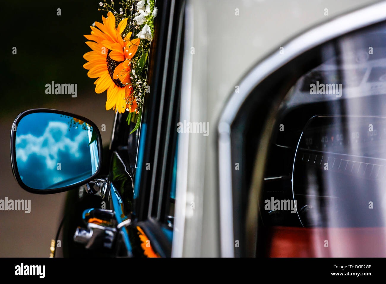Volvo auto classica come un auto nozze con fiori Foto Stock