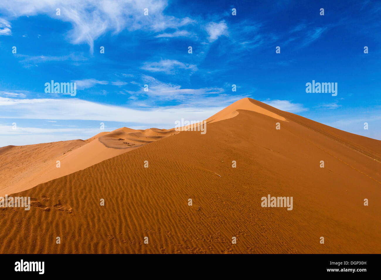 Daddy grande duna, Sosssusvlei, Namib Desert, Namib Naukluft Park, Namibia, Africa Foto Stock