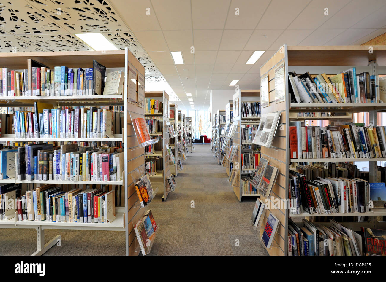 Biblioteca, Birkenhead biblioteca pubblica, Auckland, Nuova Zelanda Foto Stock