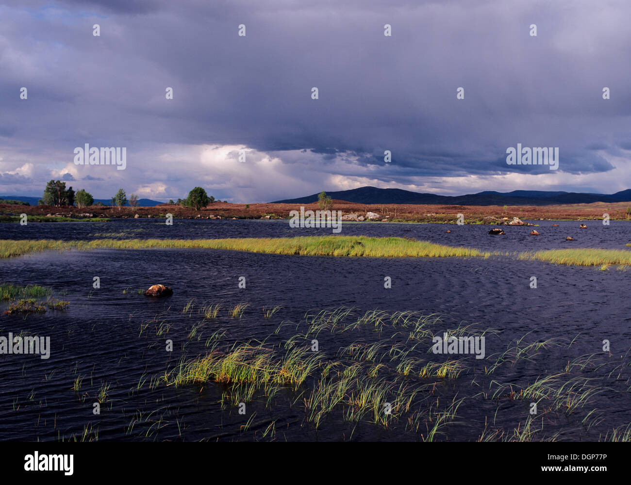 Loch Ba, Rannoch Moor, Highlands, Scotland, Regno Unito, Europa Foto Stock