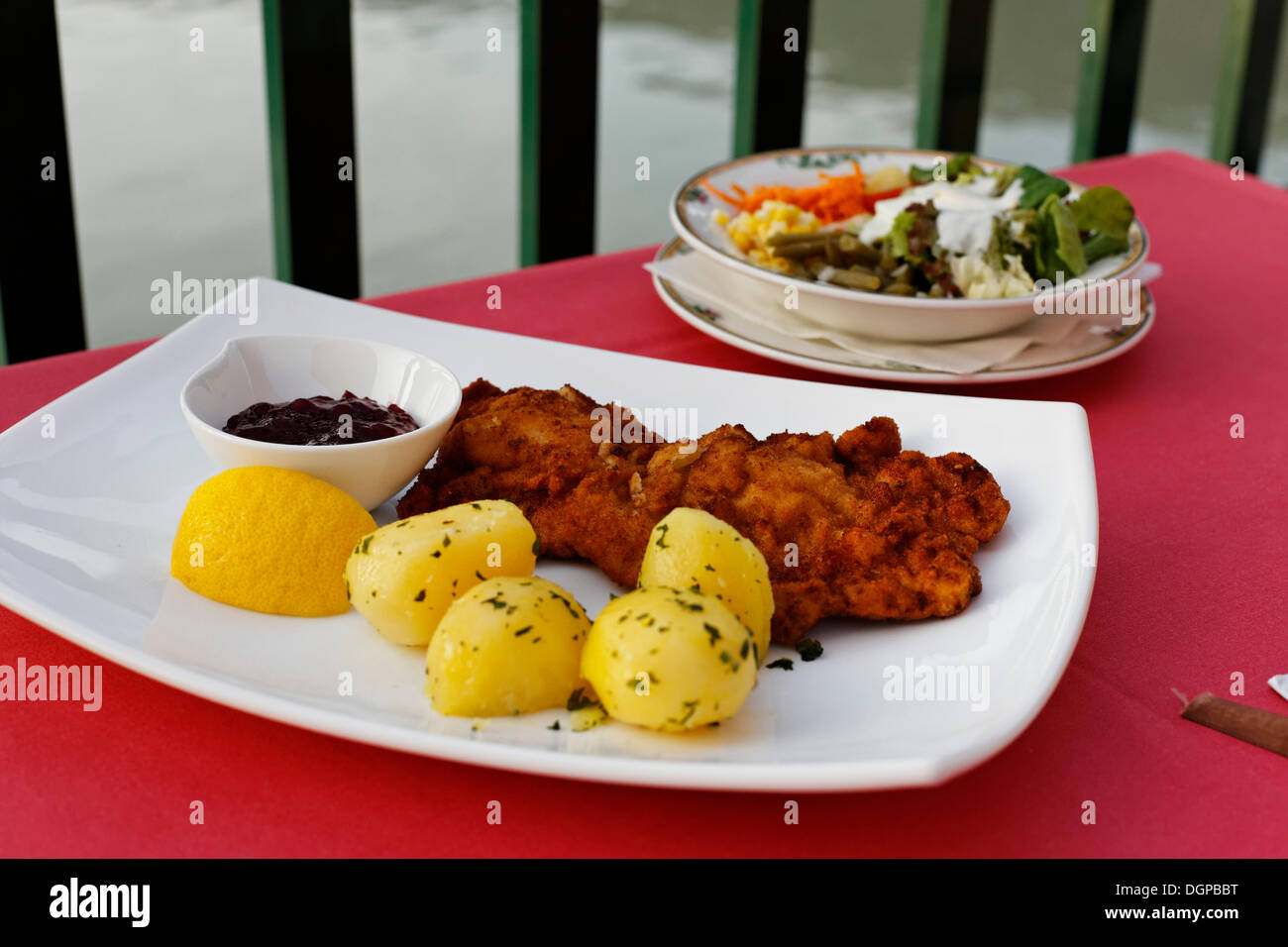 Schnitzel con patate e insalata, terrazza del ristorante dell' Hotel Donauschlinge, Hausruckviertel regione Foto Stock