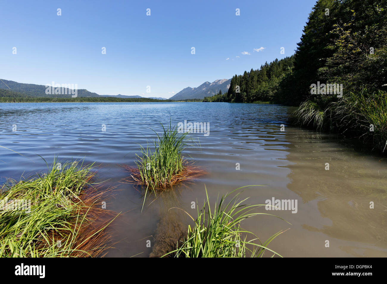 Lago Barmsee, Kruen, Werdenfelser Land, Alta Baviera, Baviera Foto Stock