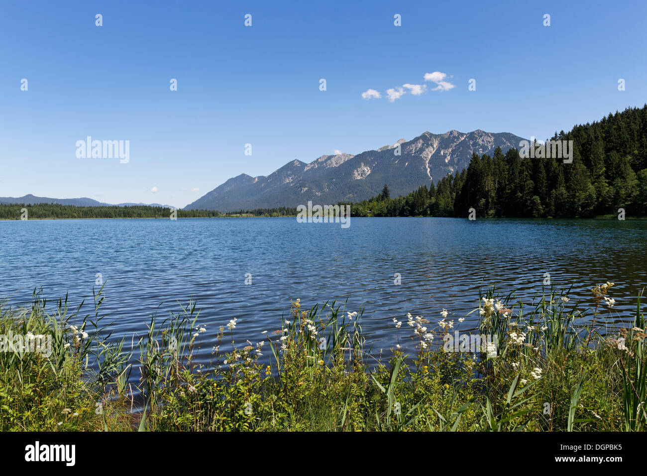 Lago Barmsee, Kruen, Werdenfelser Land, Alta Baviera, Baviera Foto Stock