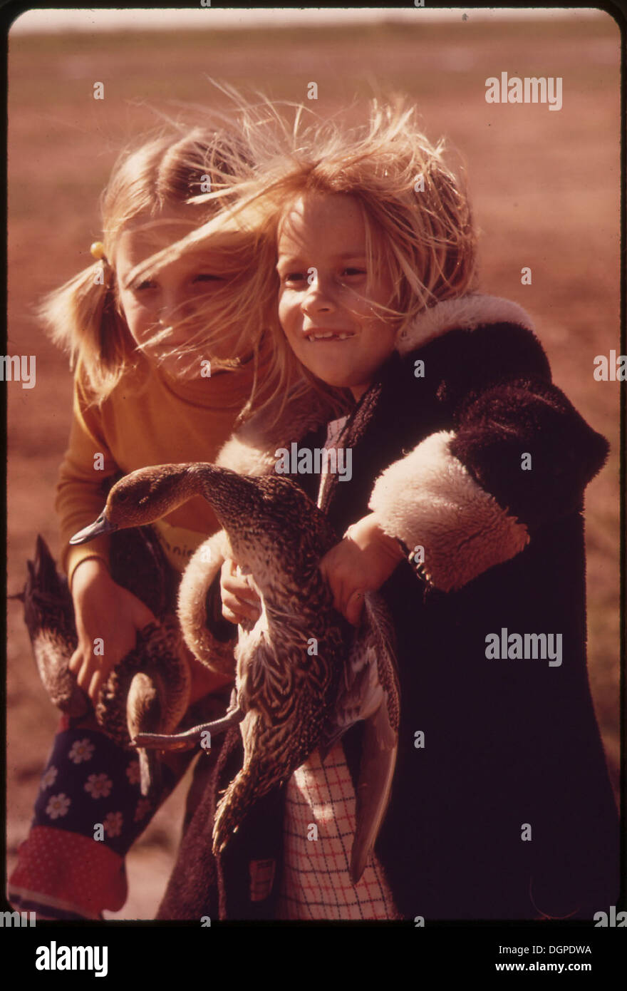 Secondo Grade School ragazze dalla frizione CALIPATRIA PINTAIL anatre. Essi stanno studiando la formazione di bande e striature e migrazione al SALTON... 549092 Foto Stock