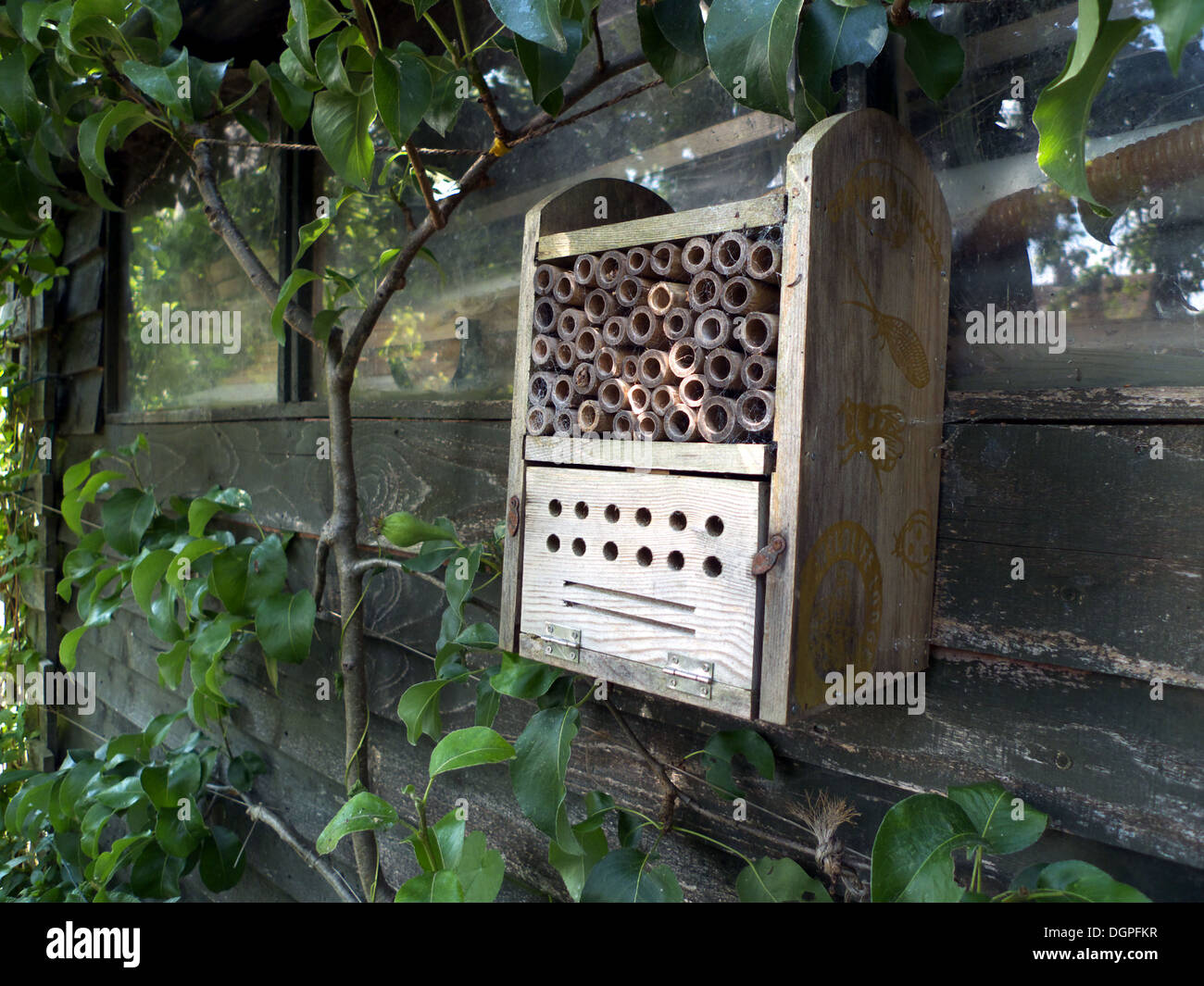 Casella di insetti nel giardino, UK. Foto Stock