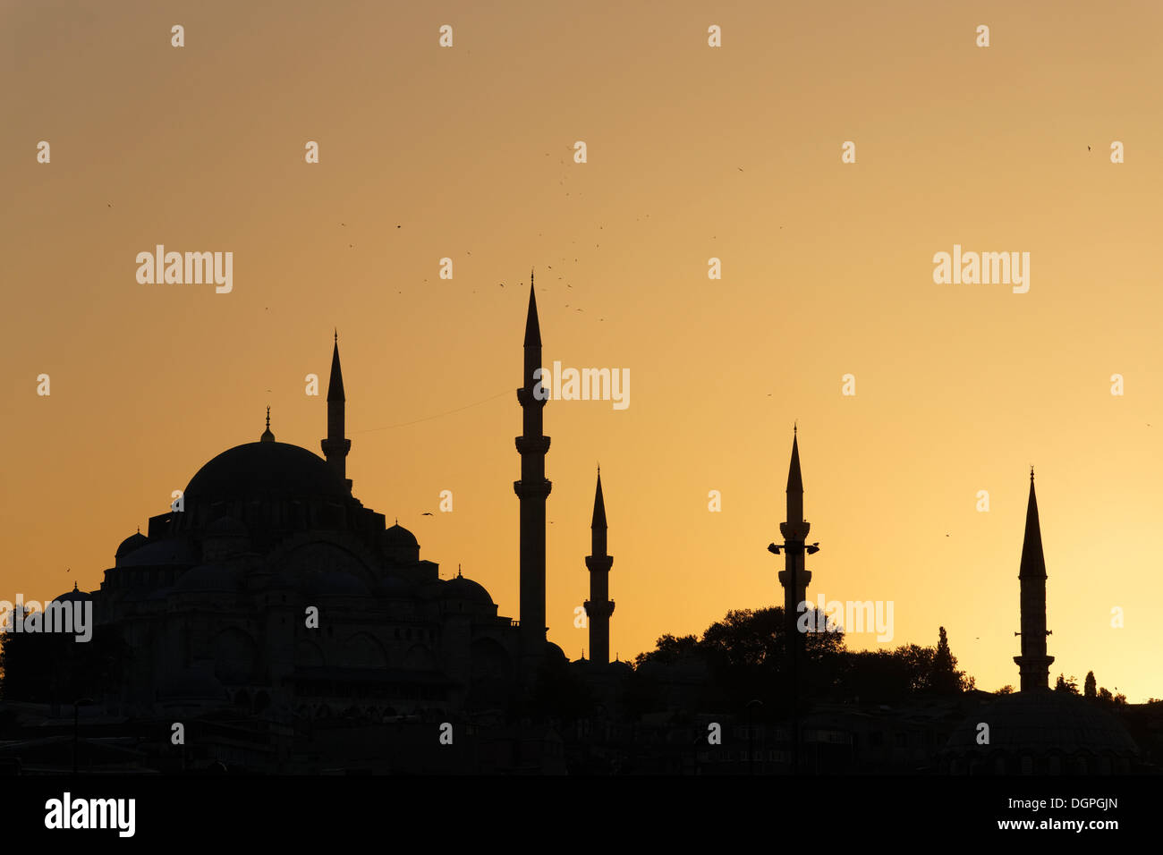 La Moschea Süleymaniye, la Moschea di Solimano, Istanbul, Turchia, Europa Foto Stock