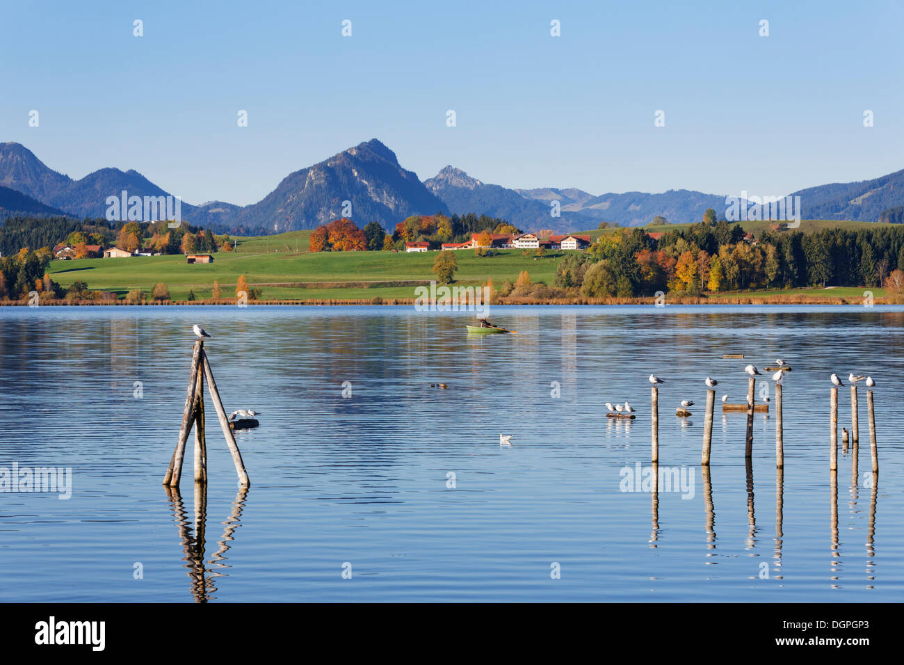 Lago Hopfensee, Hopfen am See, Ostallgaeu, Allgaeu, Svevia, Bavaria Foto Stock