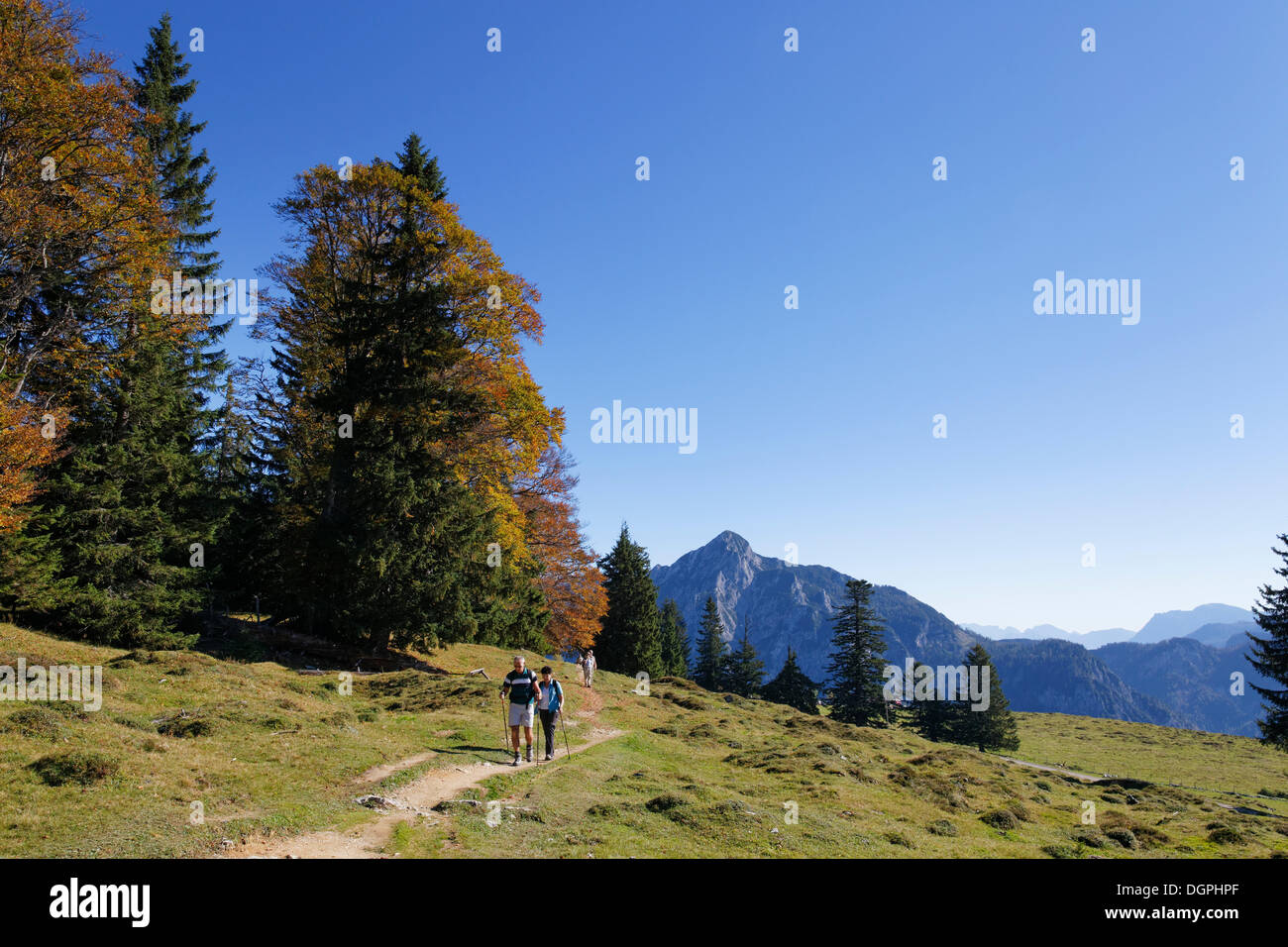 Postalm pascolo alpino con Rinnkogel montagna, Postalm, Postalm, Strobl, Salzkammergut, Stato di Salisburgo, Austria Foto Stock