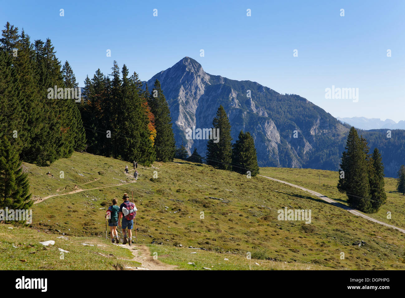 Postalm pascolo alpino con Rinnkogel montagna, Postalm, Postalm, Strobl, Salzkammergut, Stato di Salisburgo, Austria Foto Stock