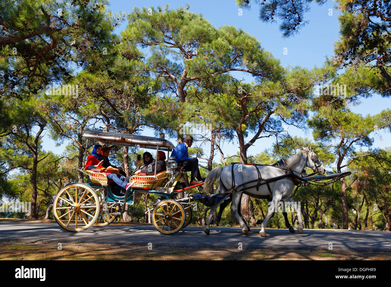 Carrozza a cavalli, Büyükada, Principe isole, Istanbul, parte asiatica, Provincia di Istanbul, Turchia Foto Stock