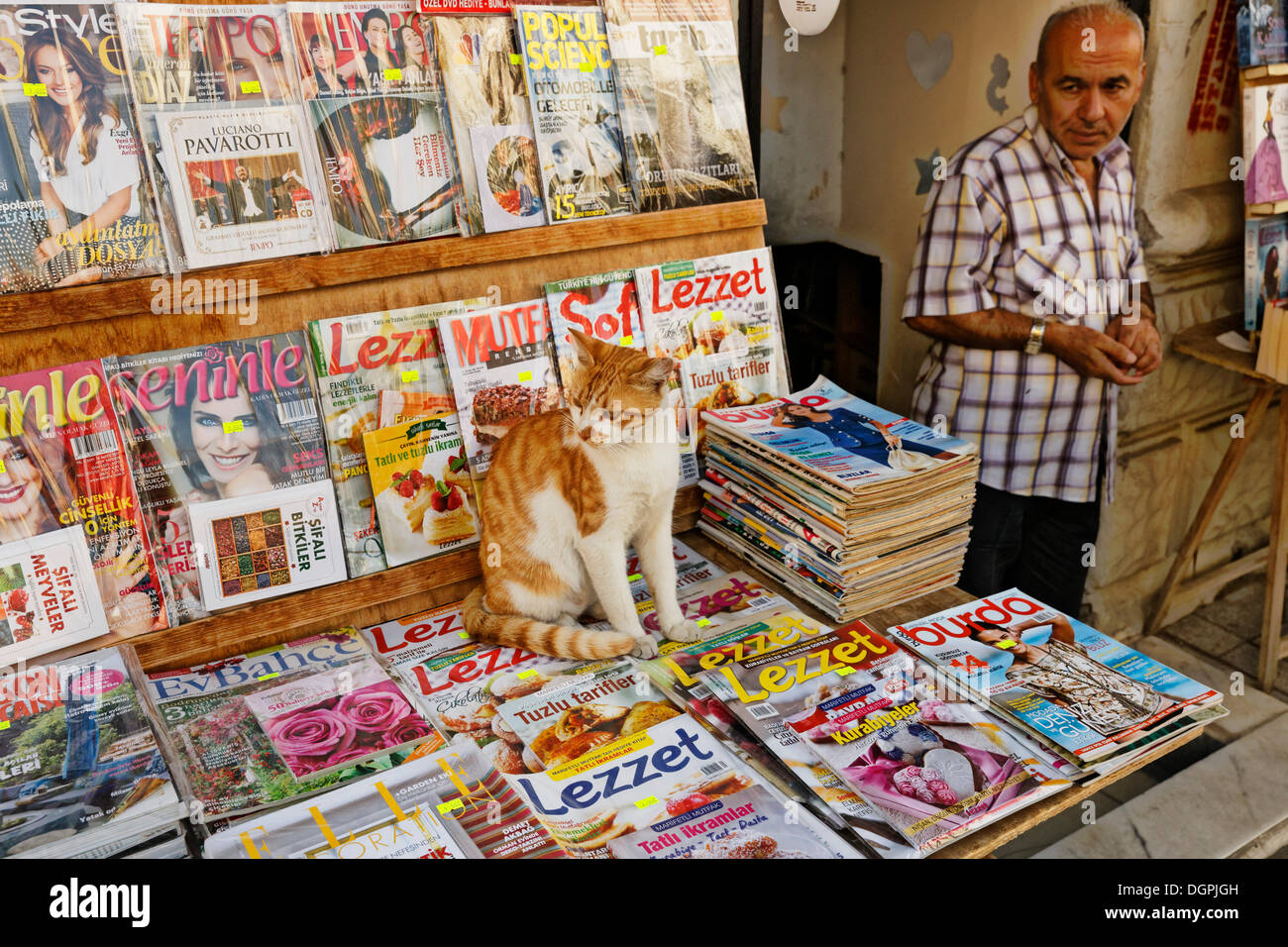 Gatto seduto su una rivista mostra nel mercato trimestre, Kadiköy, Istanbul, parte asiatica, Provincia di Istanbul, Turchia Foto Stock