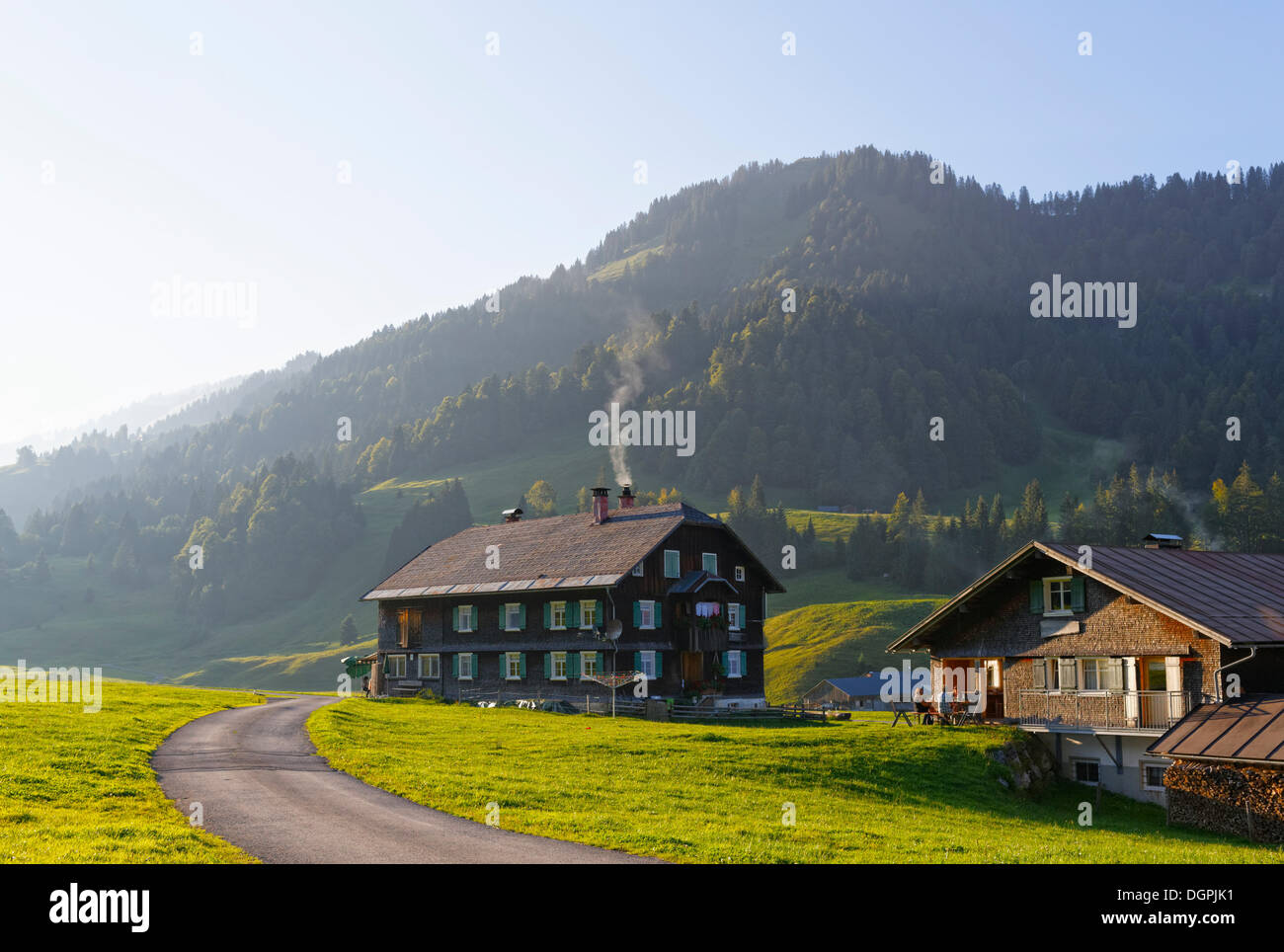 Almdorf, villaggio su un pascolo alpino, Vorsäß Schönenbach, Bezau, Bregenzerwald, Bregenzer Wald, Vorarlberg, Austria Foto Stock