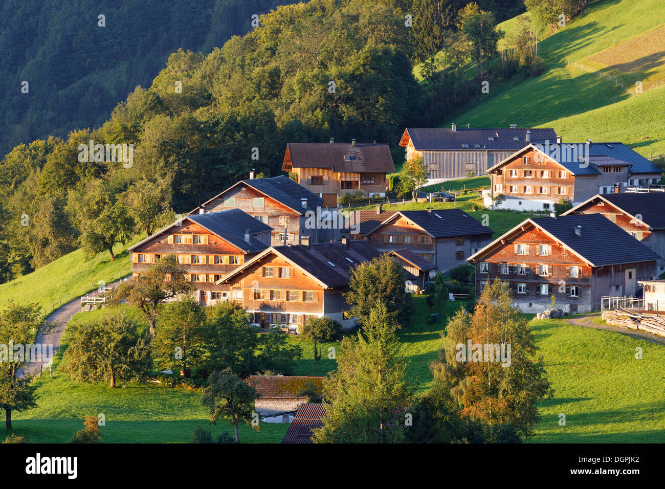 Case Bregenzerwald, Unterkaltberg, Schwarzenberg, Bregenzerwald, Bregenzer Wald, Vorarlberg, Austria Foto Stock