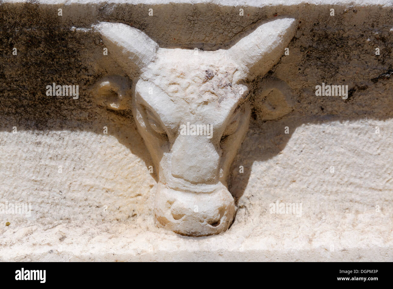 Rilievo di una vacca di testa su un sarcofago, Aphrodisias, Aydin provincia, regione del Mar Egeo, Turchia Foto Stock