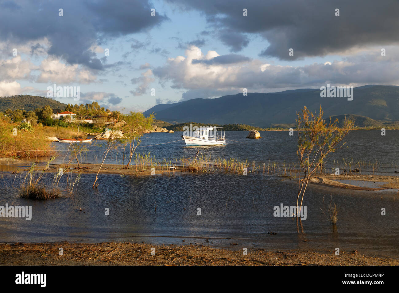 Il lago di Bafa, riva del lago nella luce della sera, Lago Bafa, Kapıkırı, Muğla provincia, regione del Mar Egeo, Turchia Foto Stock