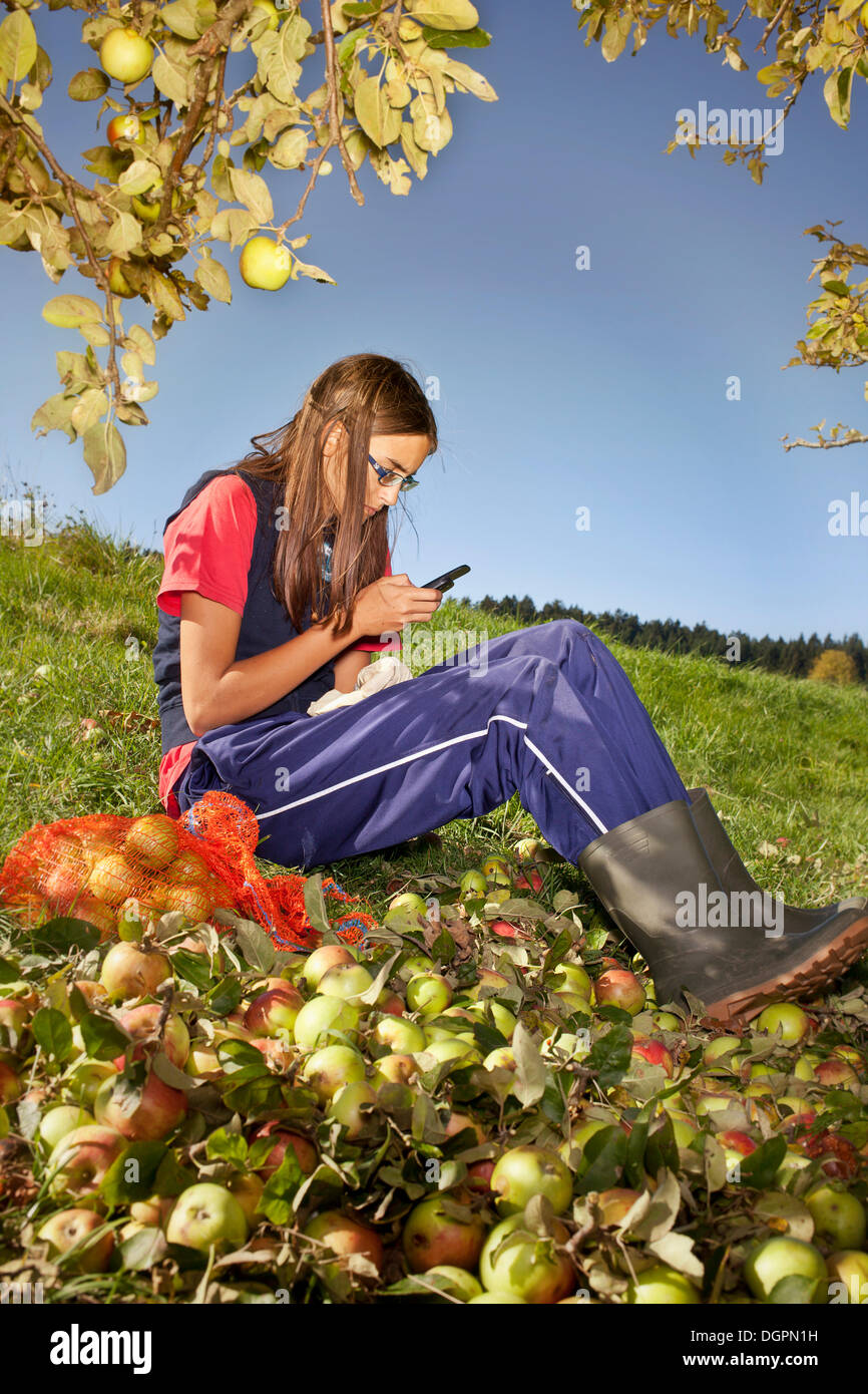 Ragazza con un cellulare in Orchard Foto Stock