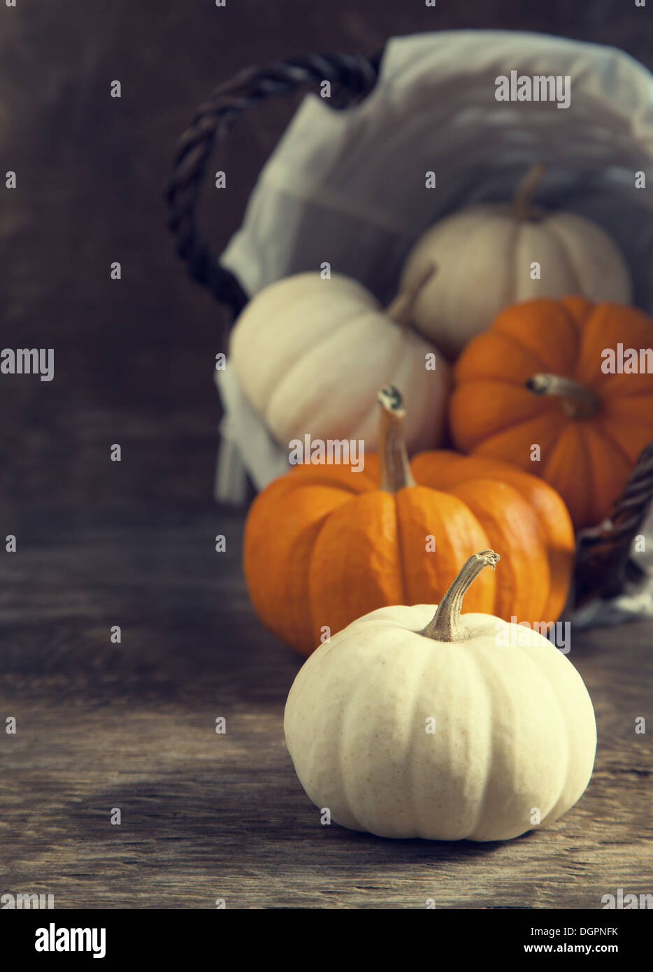 Zucche Foto Stock