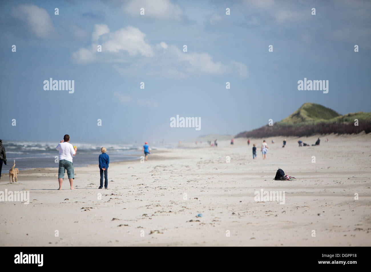 La sezione orientale di una spiaggia per cani, Langeoog Isola, Bassa Sassonia Foto Stock