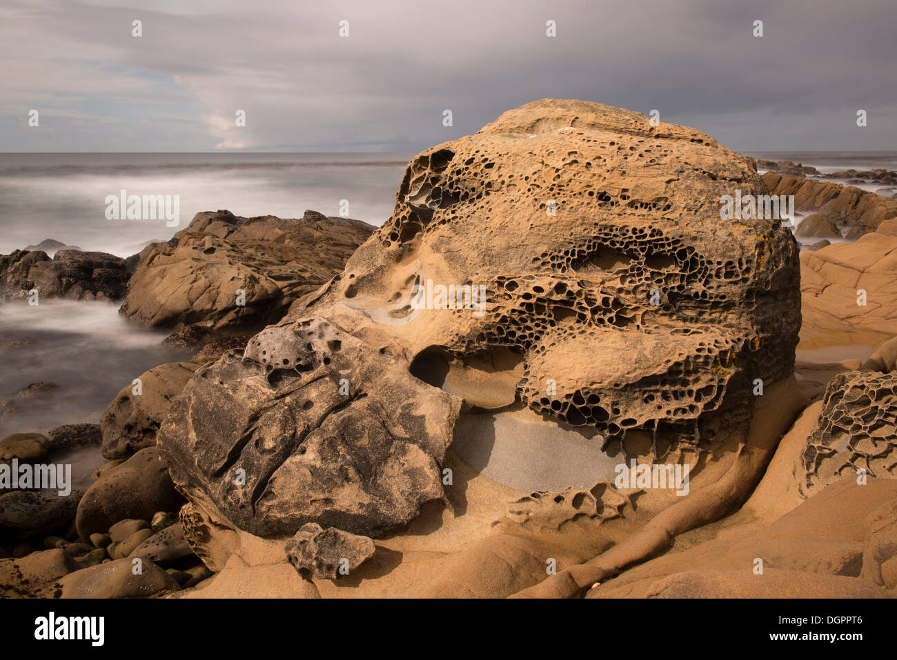 Tafoni formazioni rocciose, sale Point State Park, Jenner, California, Stati Uniti Foto Stock
