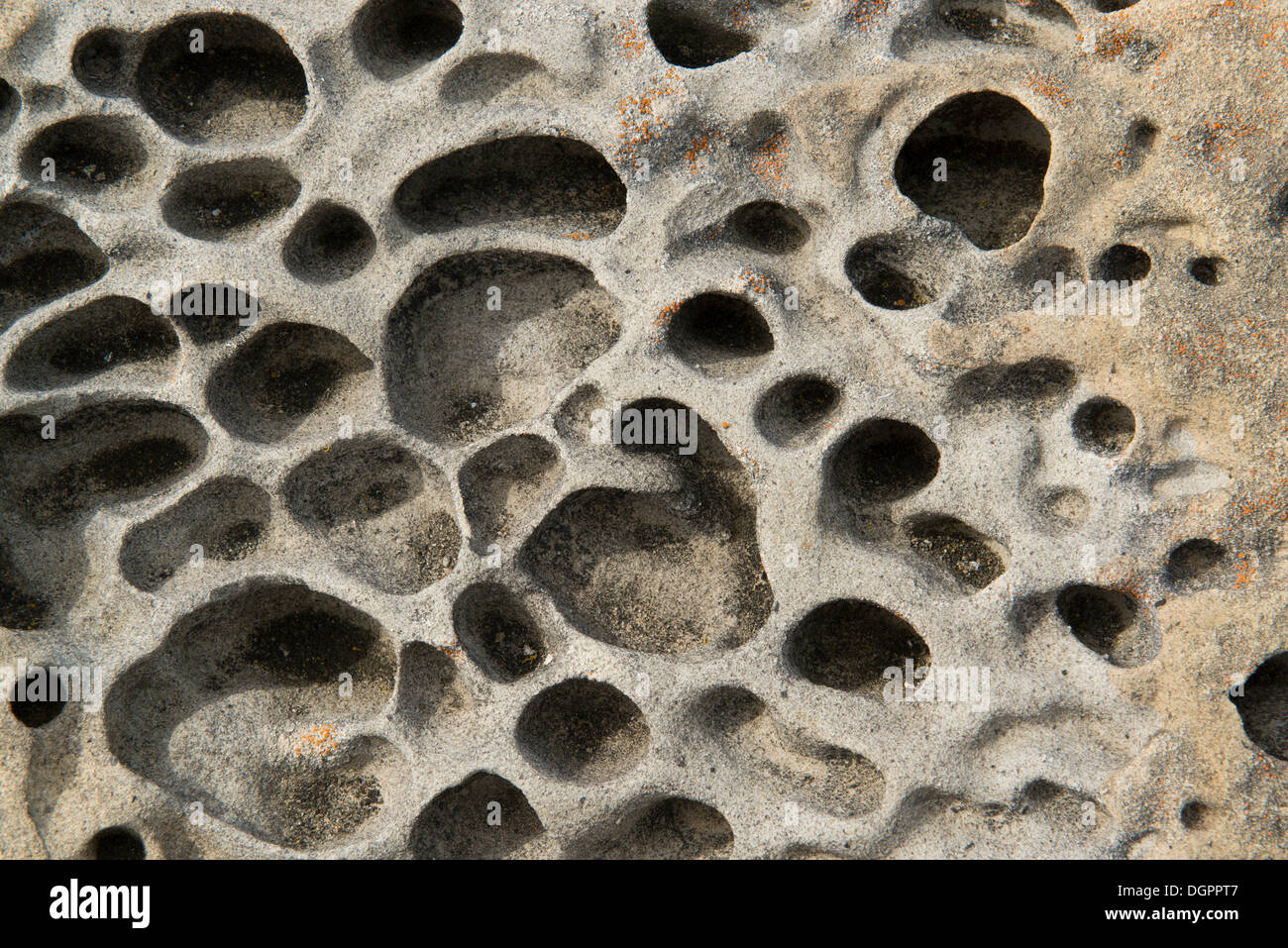 Tafoni formazioni rocciose, sale Point State Park, Jenner, California, Stati Uniti Foto Stock
