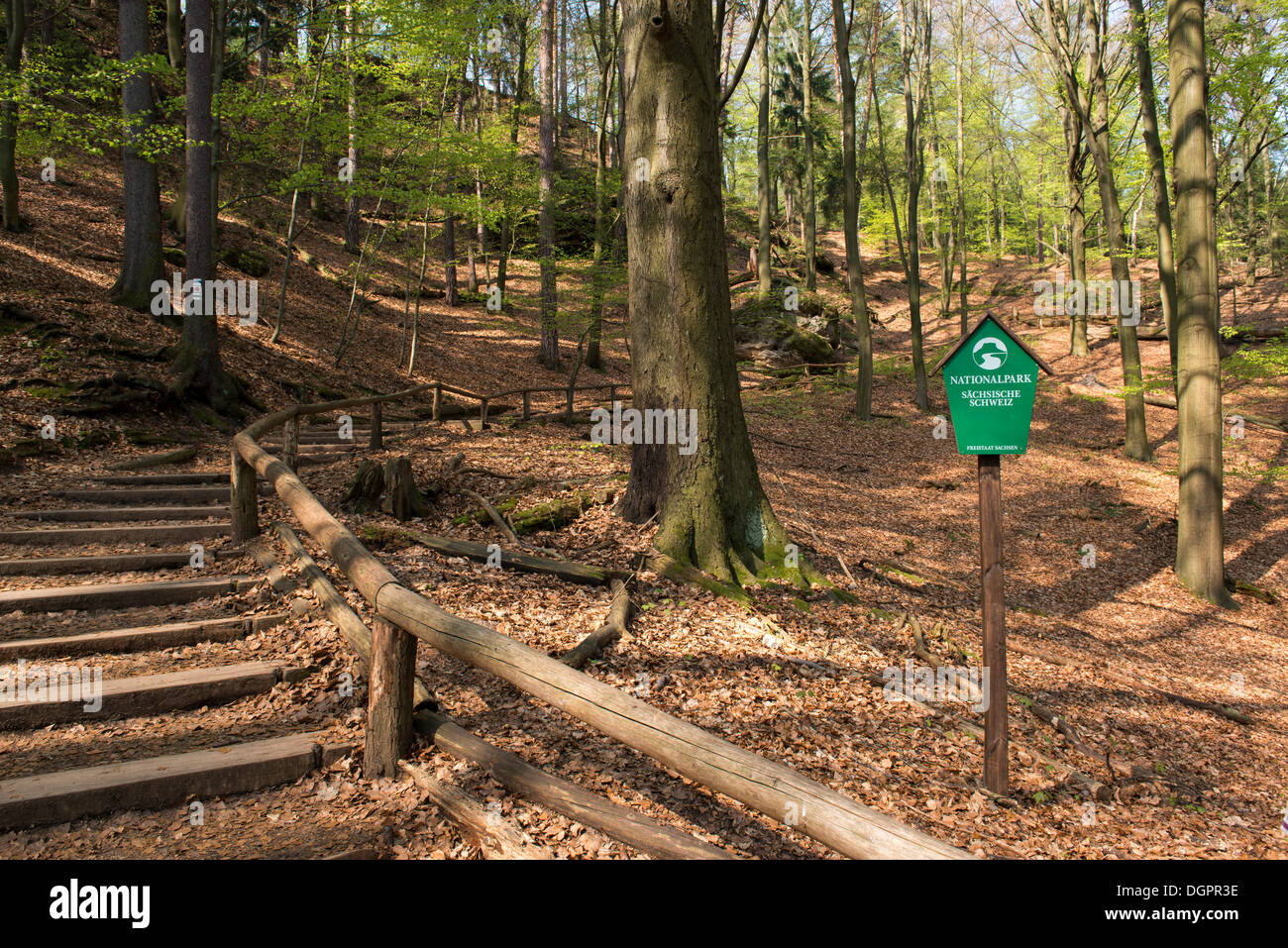 Pittori, percorso Nationalpark Sächsische Schweit, Rathewalde, Bassa Sassonia, Germania Foto Stock