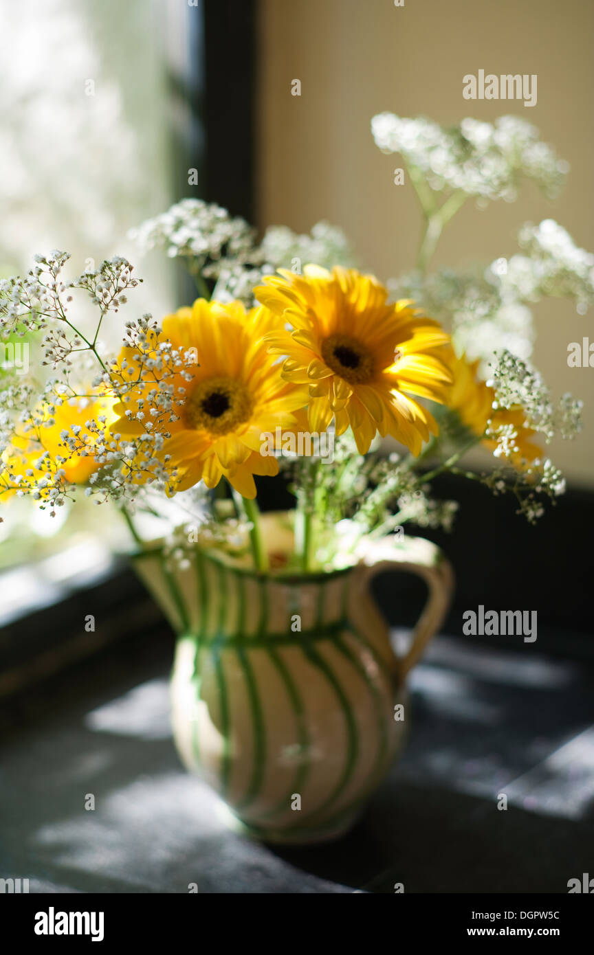 Gerbera gialla in un vaso di ceramica Foto Stock