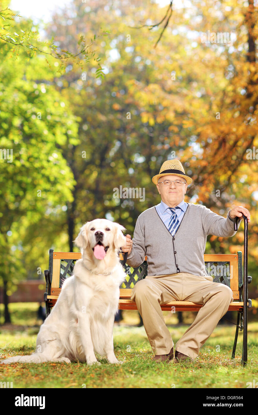 Fiducioso senior gentleman seduta su una panchina con il suo labrador retriever cane, in un parco Foto Stock
