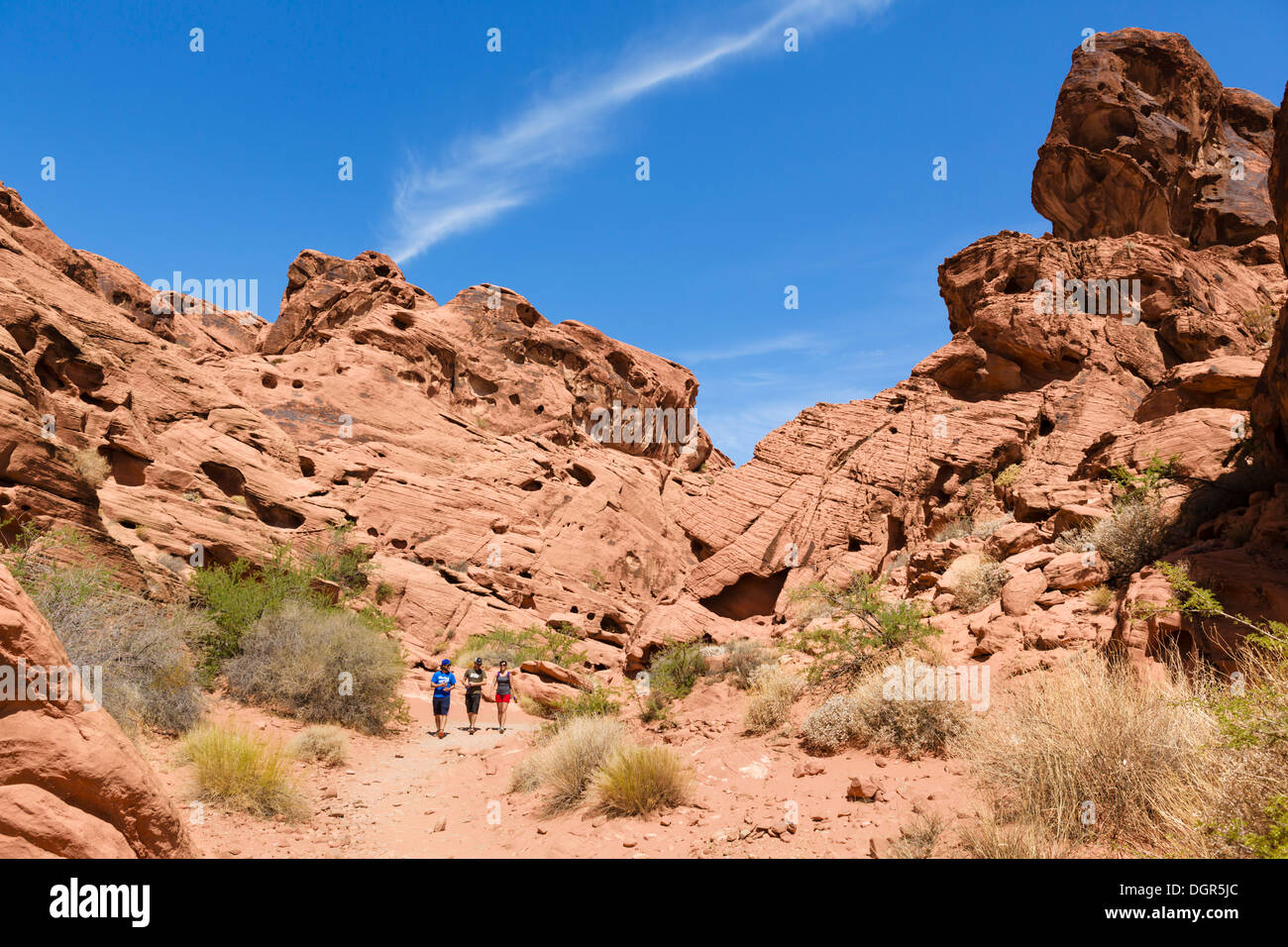 Walkers sul serbatoio del Mouse Trail, la Valle del Fuoco del parco statale, a nord di Las Vegas, Nevada, STATI UNITI D'AMERICA Foto Stock