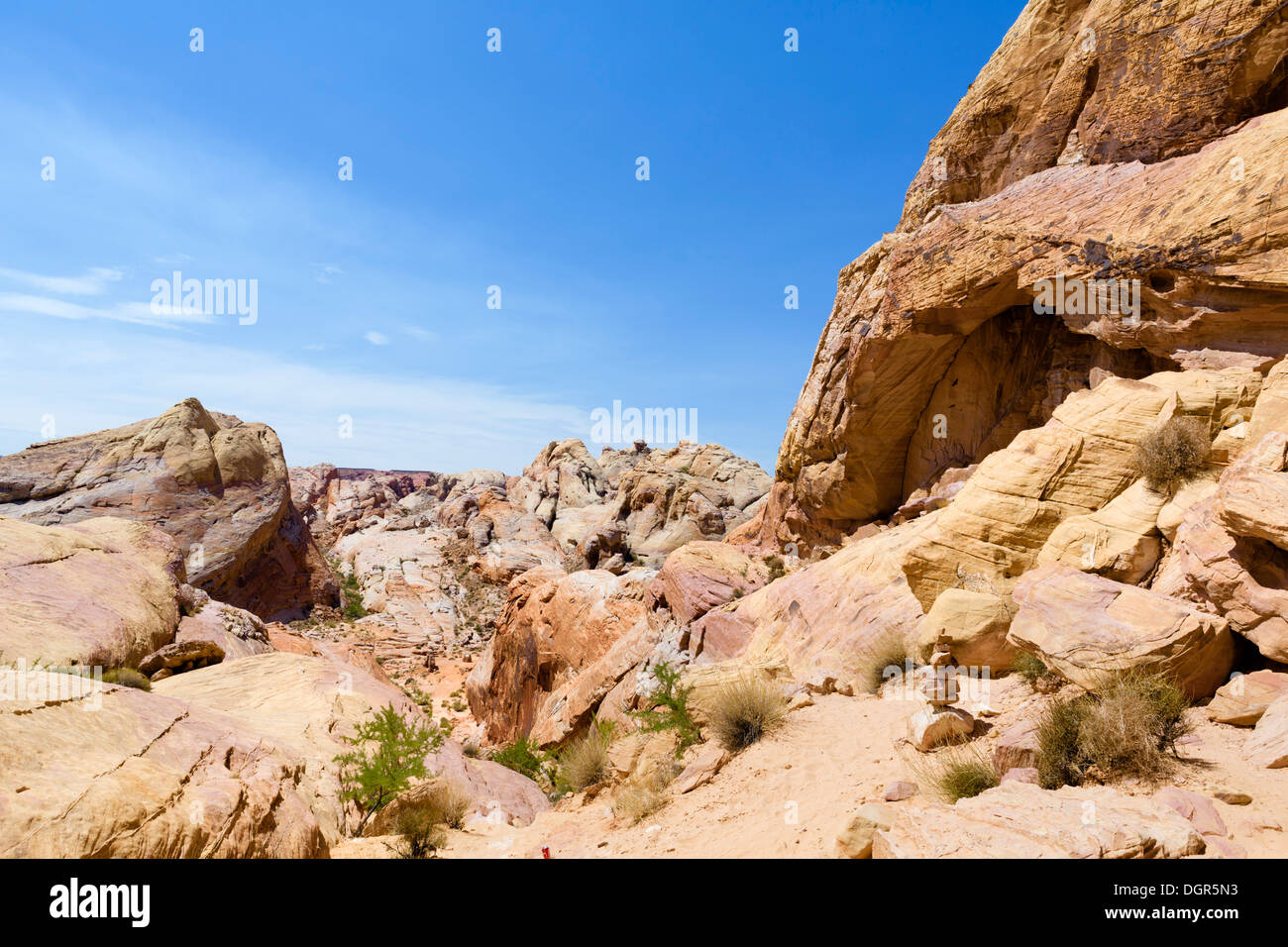 Trail in cupole bianche area, la Valle del Fuoco del parco statale, a nord di Las Vegas, Nevada, STATI UNITI D'AMERICA Foto Stock