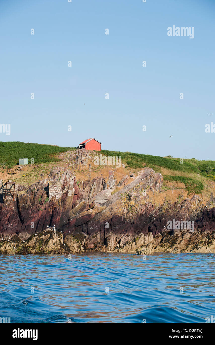 Capanna di rosso e bird nascondere a South Haven, Isola di Skokholm, South Pembrokeshire, Wales, Regno Unito Foto Stock