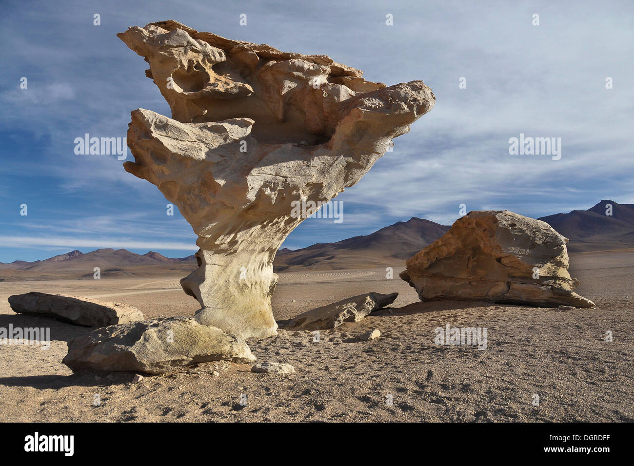 Arbol de Piedra, una formazione di roccia, pietra albero, confini del Cile e della Bolivia, SUD AMERICA Foto Stock