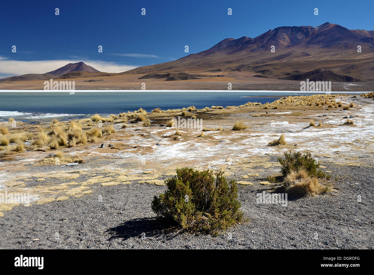 Laguna dell'Altiplano altopiano, la frontiera del Cile e della Bolivia, SUD AMERICA Foto Stock