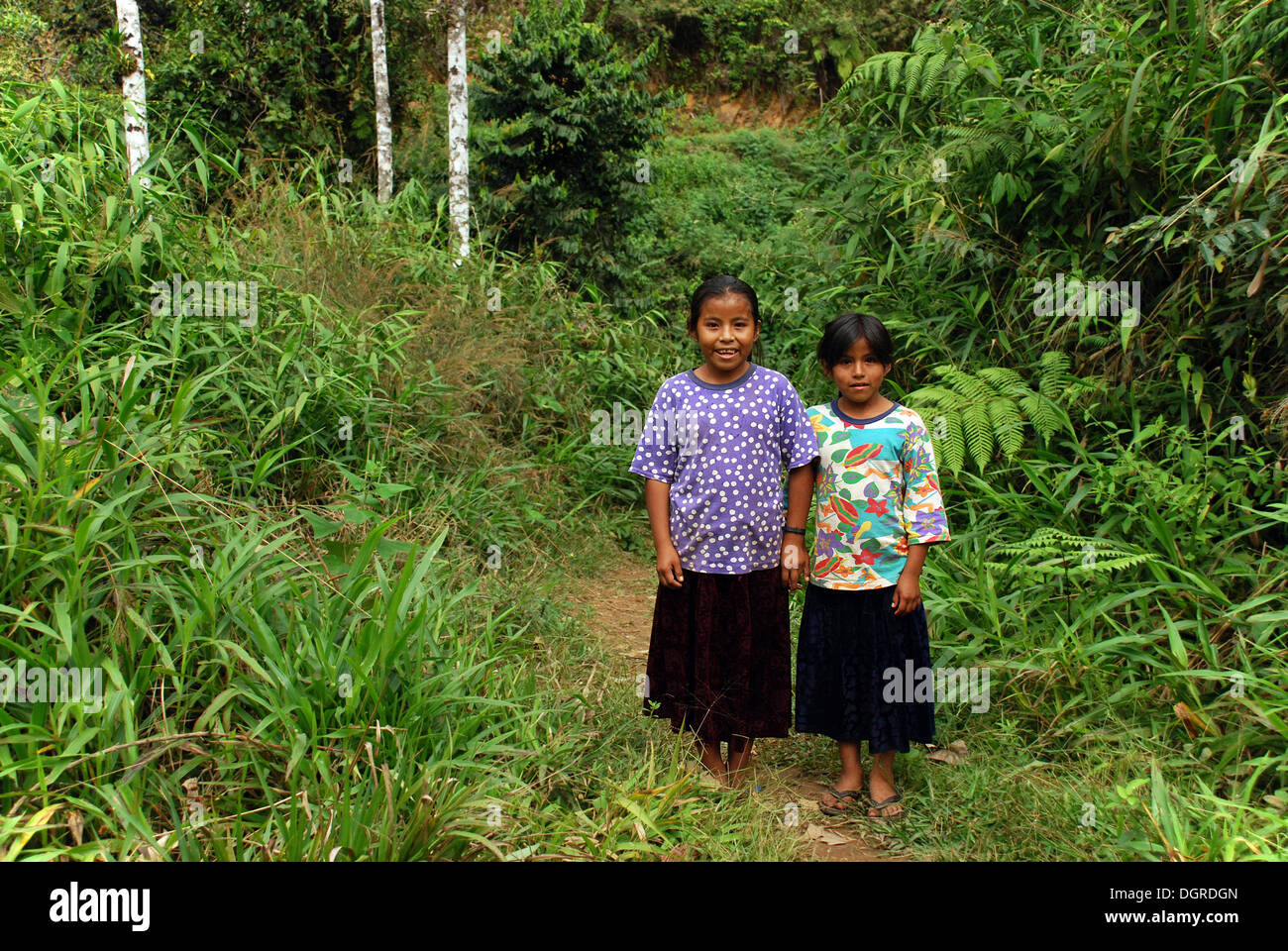 Due ragazze di popoli indigeni, Amazzonia, Bolivia, SUD AMERICA Foto Stock