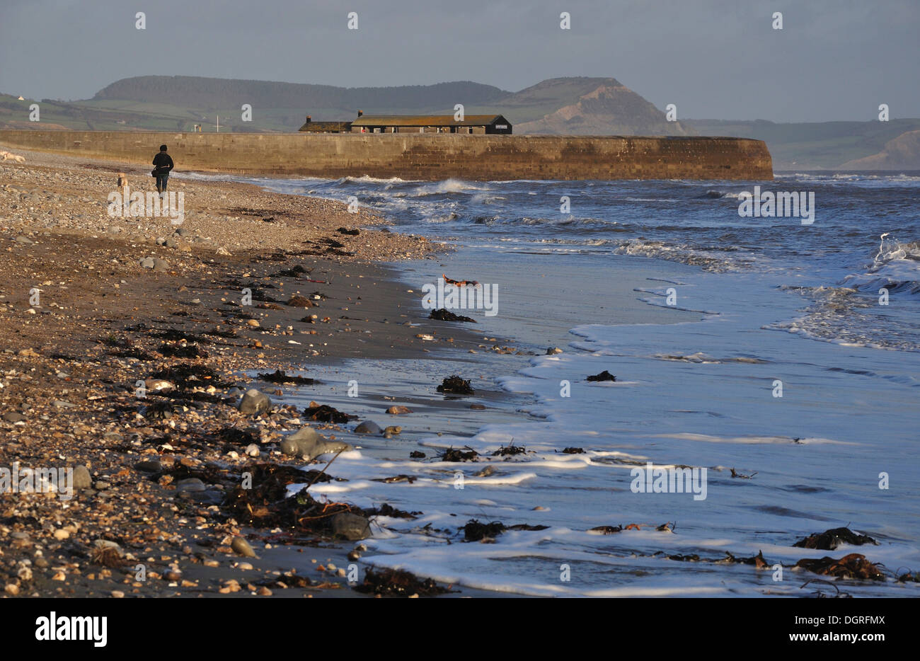 Una persona a un cane a camminare sulla spiaggia di Monmouth Lyme Regis Dorset Regno Unito Foto Stock