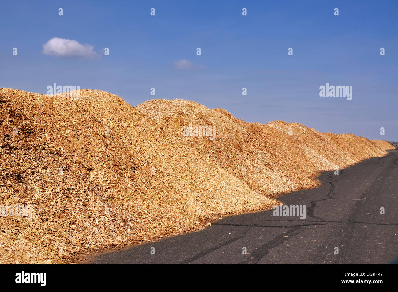Chip di legno depot, legno di energia Foto Stock